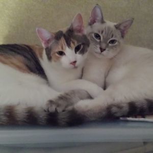 Meet your Posher, Mel